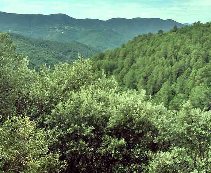 nature-carre